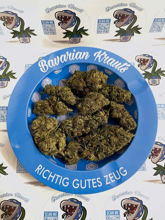 Easy Isi - 2g 40% H2