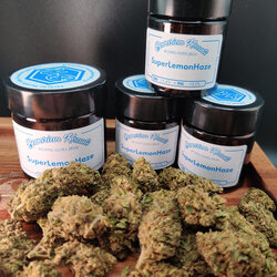 Super Lemon Haze Group