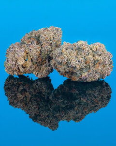 Cerial Milk - 3 Samen (fem.)