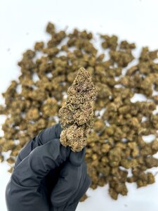 Honey Badger Haze 2gr 40% H2