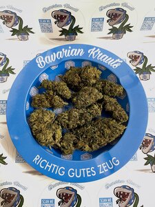 Easy Isi - 2g 40% H2