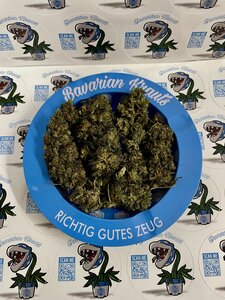 Orange Soda - 2g 40% H2