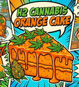 *A Buds* Orange Cake - 2g 40% H2