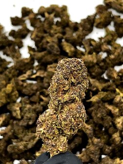 Purple-Haze-2gr 30% 10 HC