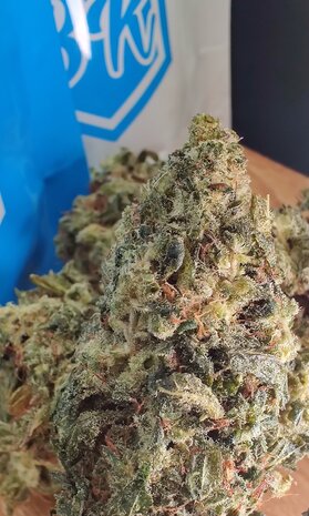 White WIdow  15,7 % CBD