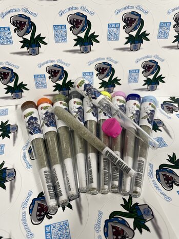 H2 Pre Roll