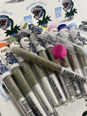 H2 Pre Roll