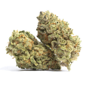 Super Skunk - 3 Samen (fem.)